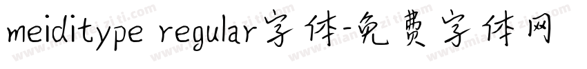 meiditype regular字体字体转换